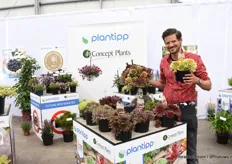 Peter Rijssen van Plantipp met een mooie plant de Chick Charm.